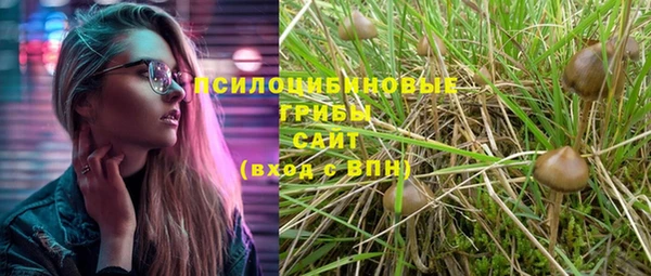 мет Липки